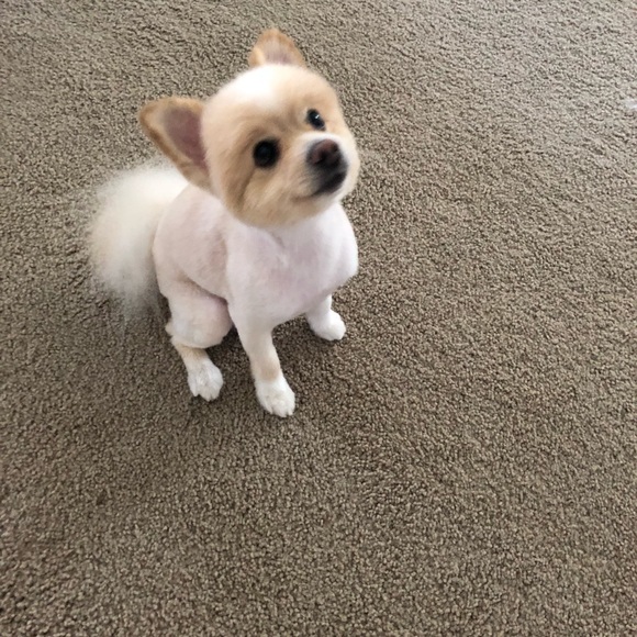 Meet your Posher, Chrystal - Picture 1 of 1